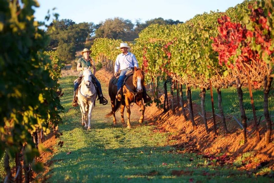 Tuscany: Horseback Riding Adventure with Lunch in a Winery - Riding through vineyards and olive groves