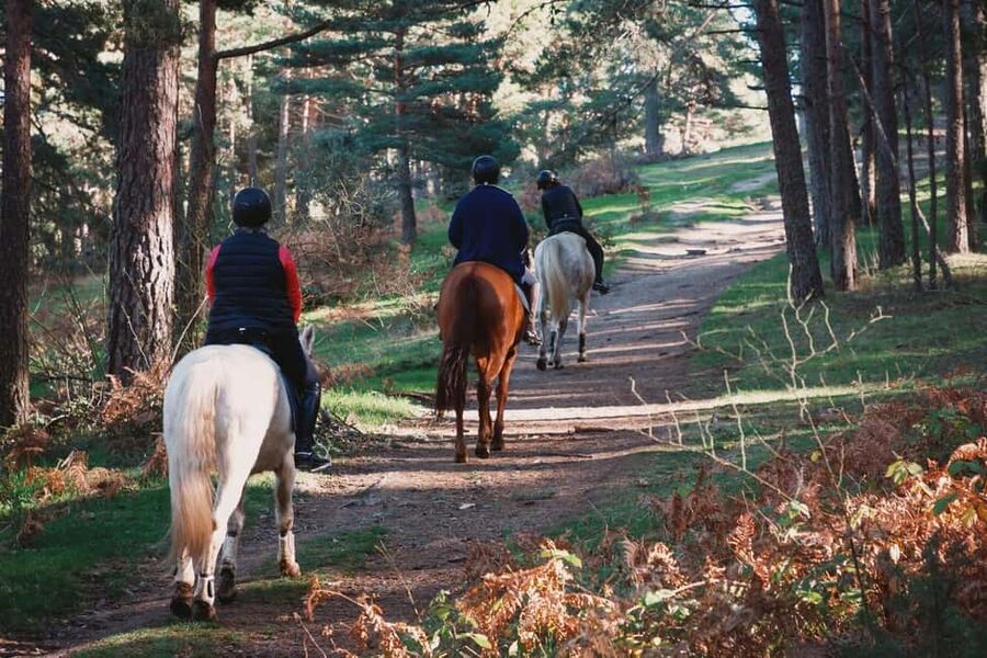 Tuscany: Horseback Riding Adventure with Lunch in a Winery - What $542 includes, and what it does not