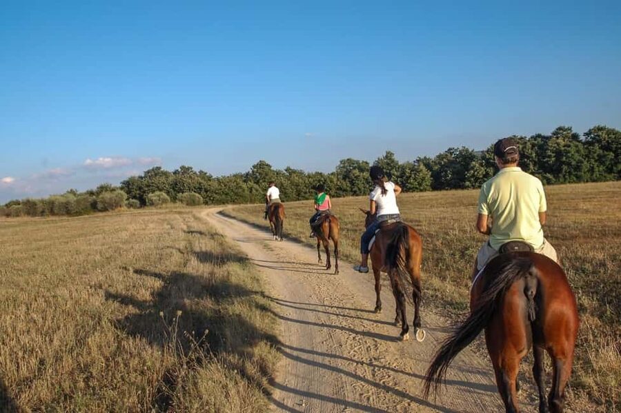 Tuscany: Horseback Riding Adventure with Lunch in a Winery - Who will enjoy this experience most