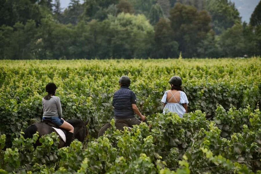 Tuscany: Horseback Riding Adventure with Lunch in a Winery - A short introduction to the historic property