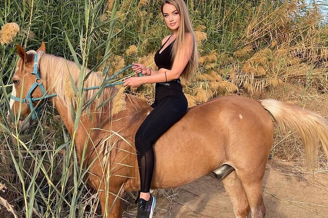 Two hours adventure Horse Riding with Transfer From Hurghada - From Hurghada hotels to the desert riding area