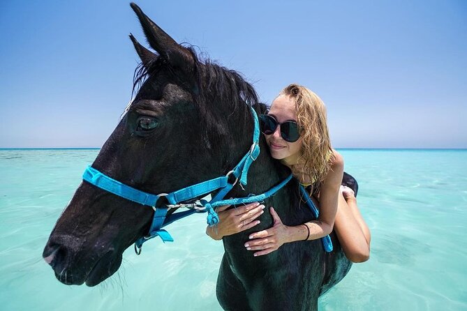 Two hours adventure Horse Riding with Transfer From Hurghada - Riding beside the Red Sea