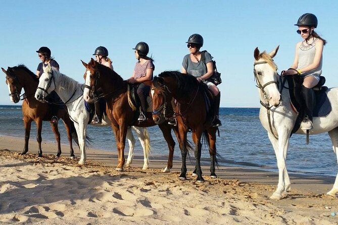 Two hours adventure Horse Riding with Transfer From Hurghada - What the $14.53 price really covers