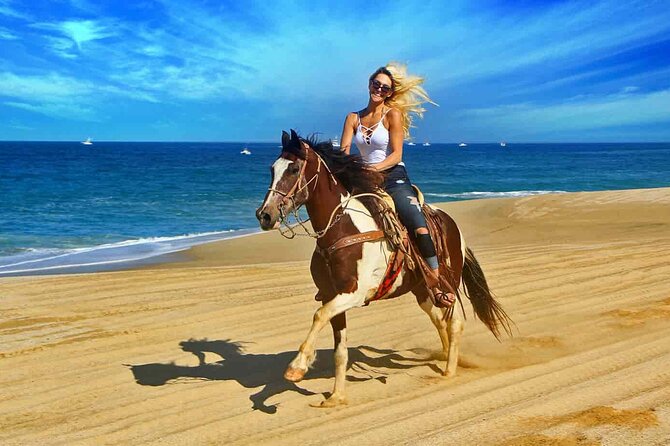 Two hours adventure Horse Riding with Transfer From Hurghada - Should you book this Hurghada horse ride?