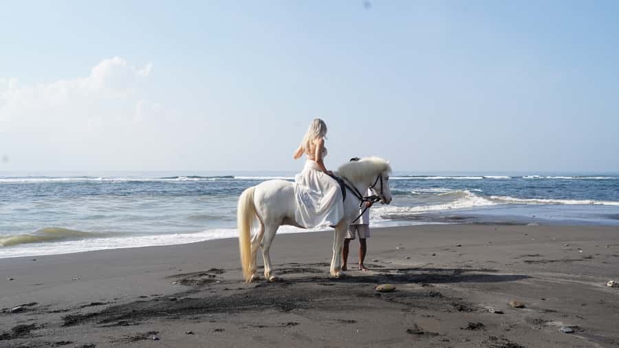 Ubud: 1 Hour Beach Horse Riding with Transfer - What the Ratings Tell You About the Experience