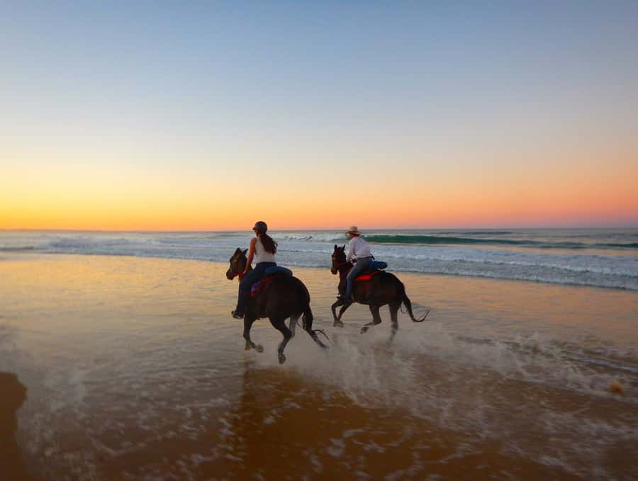 Ubud: Horse Riding, Zip-Line Tour & Waterfall Tour - Why this Bali combination works