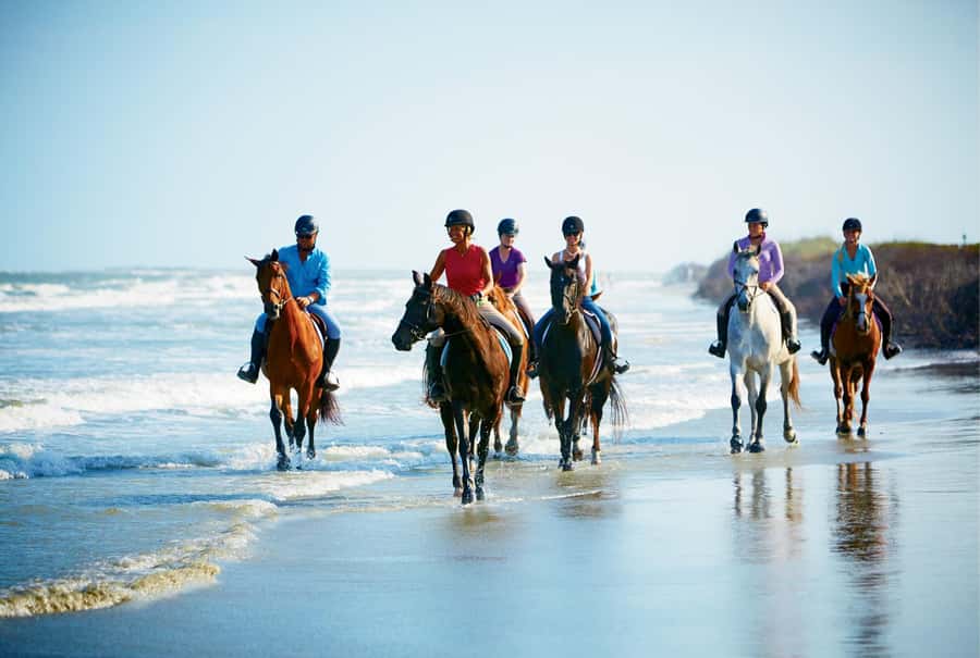 Ubud: Horse Riding, Zip-Line Tour & Waterfall Tour - Zip-lining above rice paddies and forest