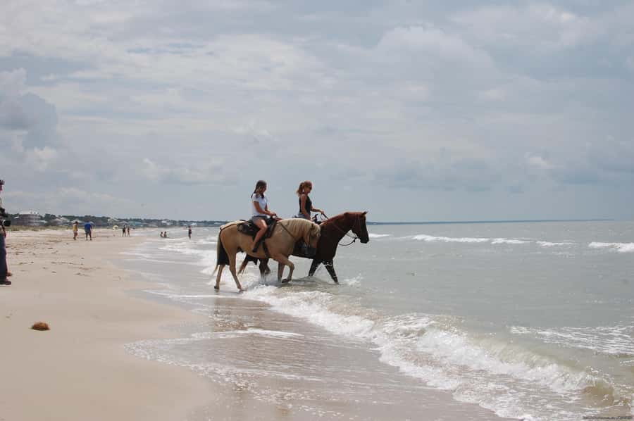 Ubud: Horse Riding, Zip-Line Tour & Waterfall Tour - Who should book this experience?