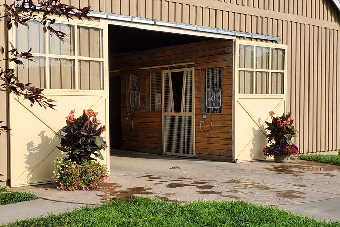 Unique Horse Farm Tours with Insider Access to Private Farms - Weather, walking, and practical comfort