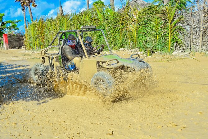 Unlimited Fun in Buggy and ATV and Horses in Punta Cana - Quick reasons to consider this Punta Cana outing
