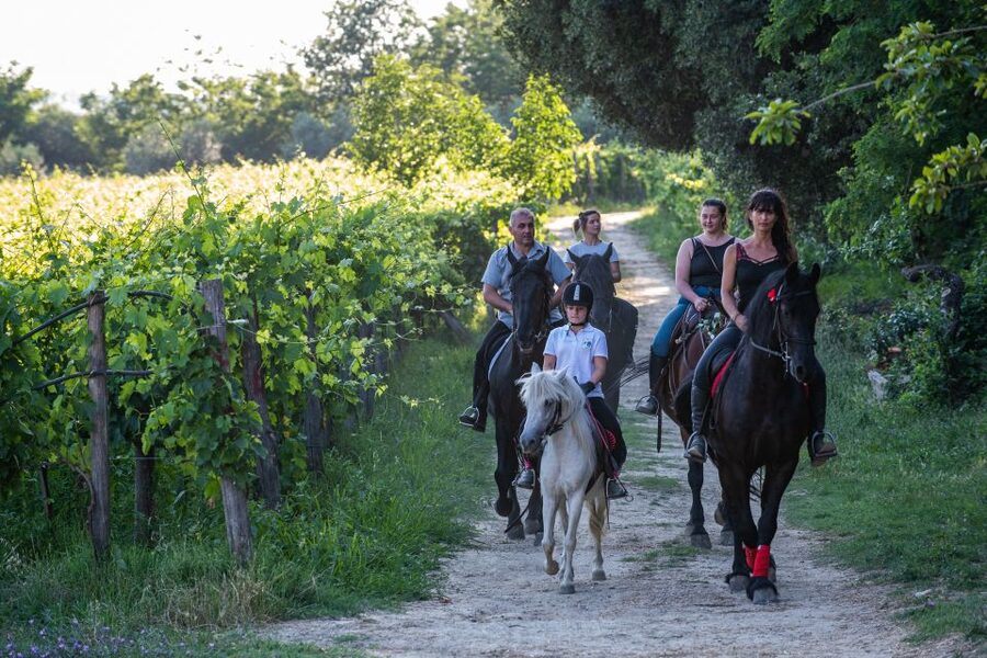 Valdichiana: Horseback Riding Tour with Tuscan Picnic - Key points to know before booking