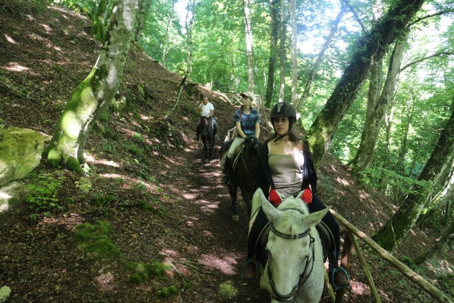 Valdichiana: Horseback Riding Tour with Tuscan Picnic - Riding through the Valdichiana hills