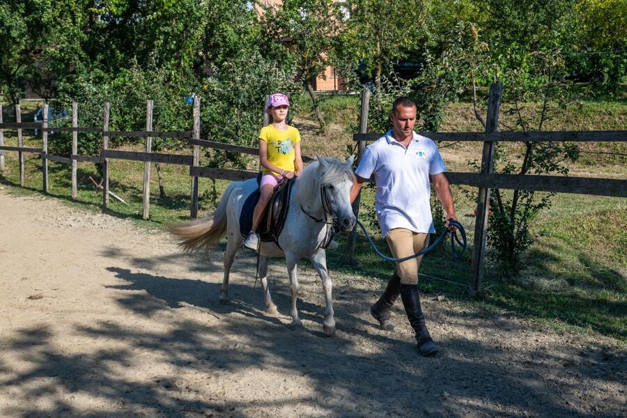 Valdichiana: Horseback Riding Tour with Tuscan Picnic - Vineyards, fields, and Tuscan stories