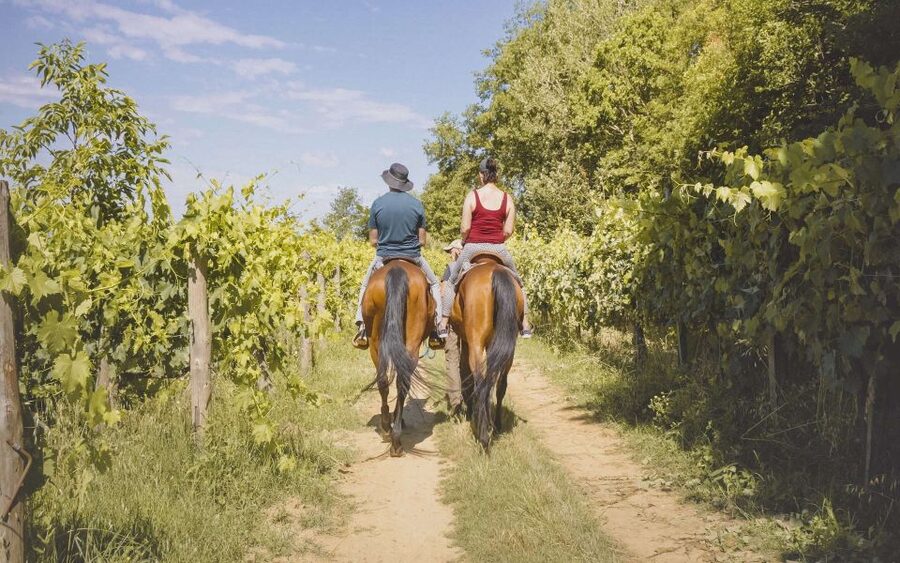Valdichiana: Horseback Riding Tour with Tuscan Picnic - Price, timing, and what you receive