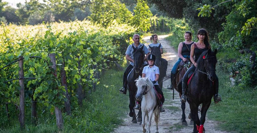 Valdichiana: Horseback Riding Tour with Tuscan Picnic - What the route feels like for a beginner