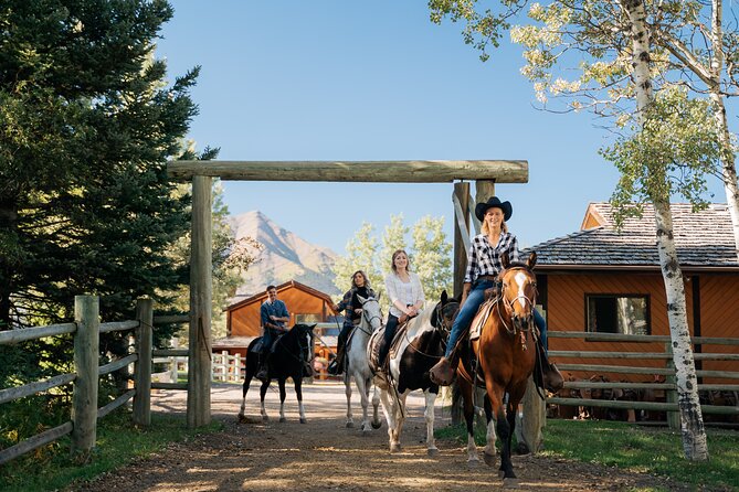 Valley Vista 1.5 Hour Horseback Trail Ride in Kananaskis - Key details to know before you book