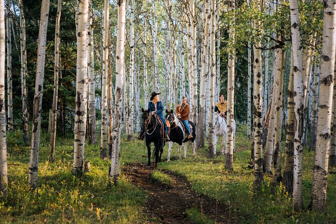 Valley Vista 1.5 Hour Horseback Trail Ride in Kananaskis - Why the 1.5-hour ride hits the sweet spot
