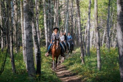 Valley Vista 1.5 Hour Horseback Trail Ride in Kananaskis