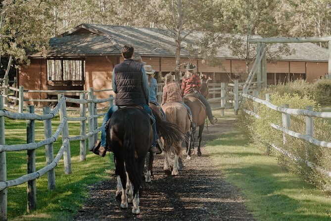 Valley Vista 1.5 Hour Horseback Trail Ride in Kananaskis - What the private format changes