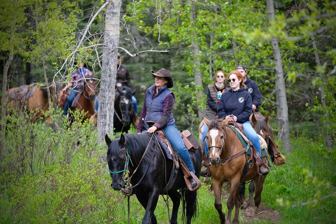 Valley Vista 1.5 Hour Horseback Trail Ride in Kananaskis - Season, weather, and planning risks