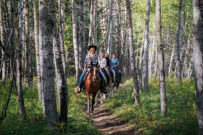 Valley Vista 1.5 Hour Horseback Trail Ride in Kananaskis - Climbing toward the pond and Mount Kidd