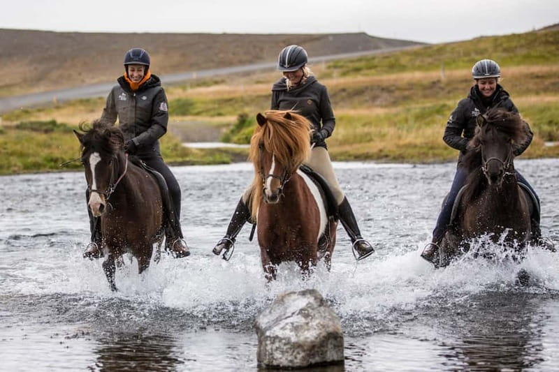 Varmahlid: Viking Horse Riding Tour - Key points to know before you book