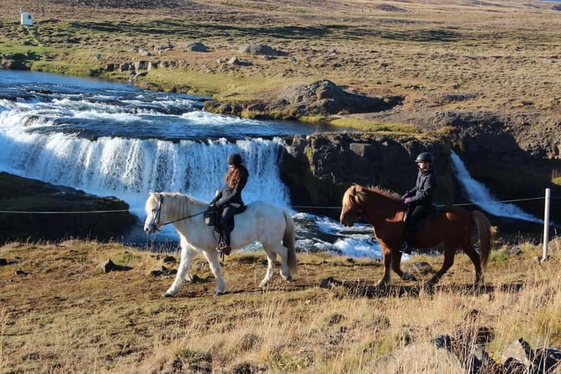Varmahlid: Viking Horse Riding Tour - Why this Varmahlíð ride feels special