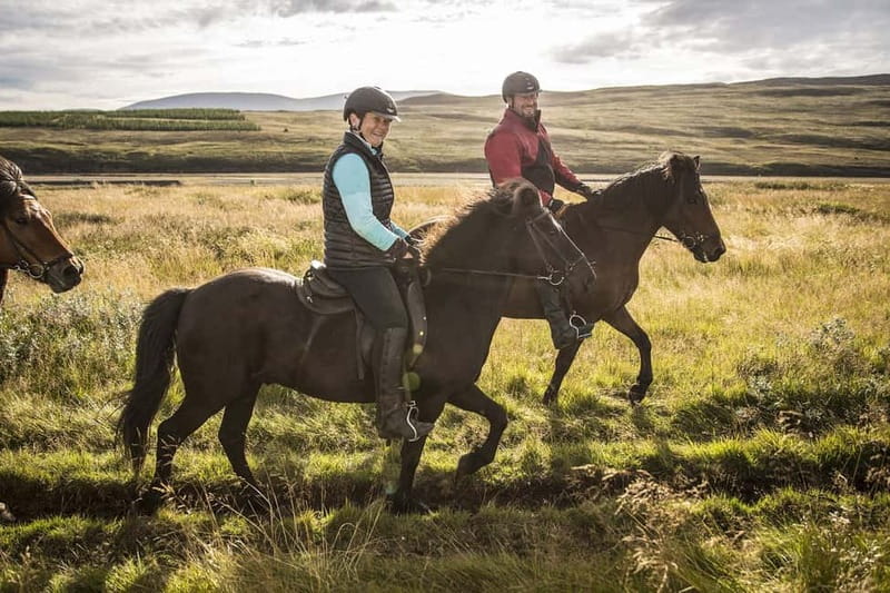 Varmahlid: Viking Horse Riding Tour - Horses, guides, and the beginner question