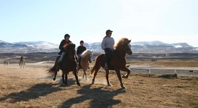 Varmahlid: Viking Horse Riding Tour - What to wear for North Iceland weather