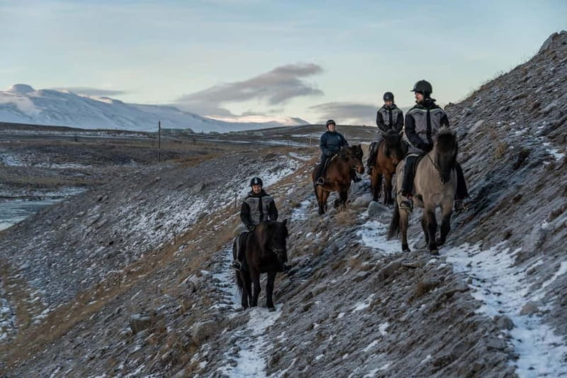 Varmahlid: Viking Horse Riding Tour - Who should book this ride?