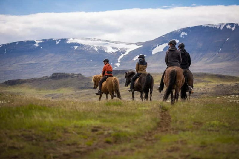 Varmahlid: Viking Horse Riding Tour - Starting at Hestasport in Varmahlíð