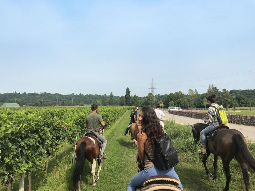 Verona: Horseback Riding and Wine Tasting Experience - Riding for about an hour through the vineyards