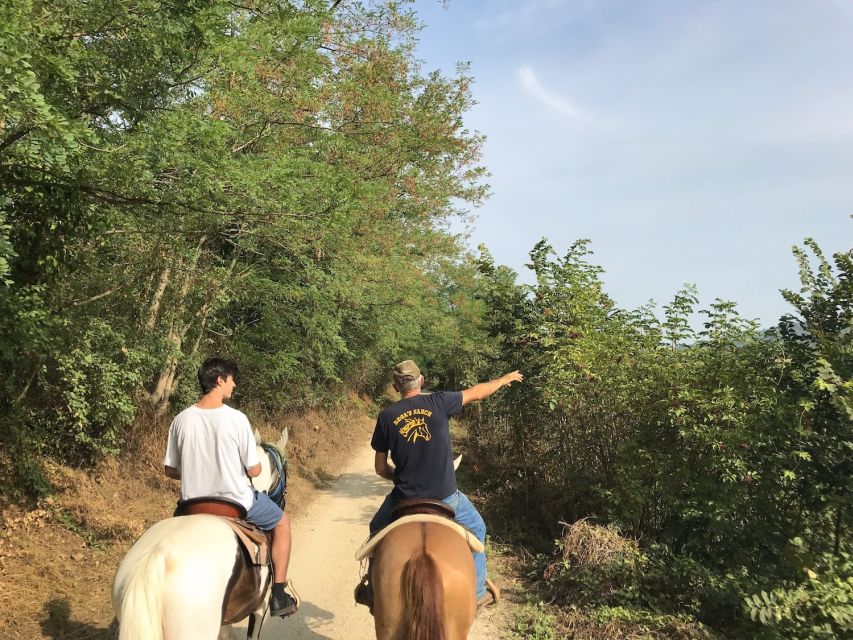 Verona: Horseback Riding and Wine Tasting Experience - Tasting Custoza white, rosé, and red wines