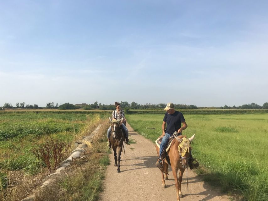 Verona: Horseback Riding and Wine Tasting Experience - What the $186.92 price really covers