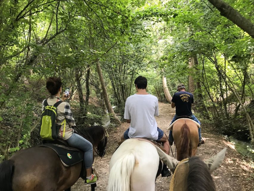 Verona: Horseback Riding and Wine Tasting Experience - Meeting the horses and getting ready
