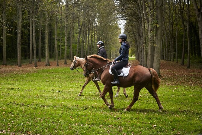 Versailles Private Tour : Horse-riding, Gastronomy & the Palace - What the private format adds