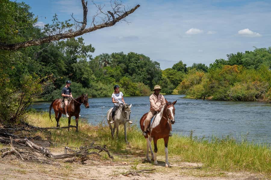 Victoria Falls National Park: Horseback Safari - Key points to know before booking