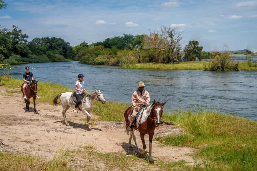 Victoria Falls National Park: Horseback Safari - Why horseback safari changes the wildlife experience