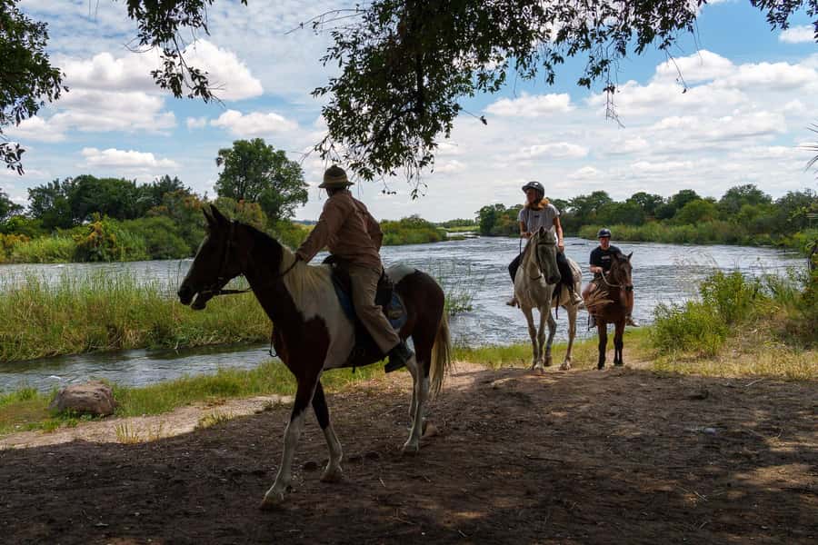 Victoria Falls National Park: Horseback Safari - What the four-hour outing is likely to feel like