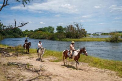 Victoria Falls National Park: Horseback Safari