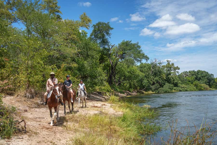 Victoria Falls National Park: Horseback Safari - Beginners, regular riders, and the small-group advantage