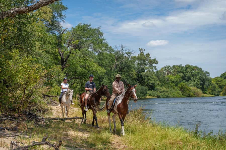 Victoria Falls National Park: Horseback Safari - What the five-star response tells you, and what it does not