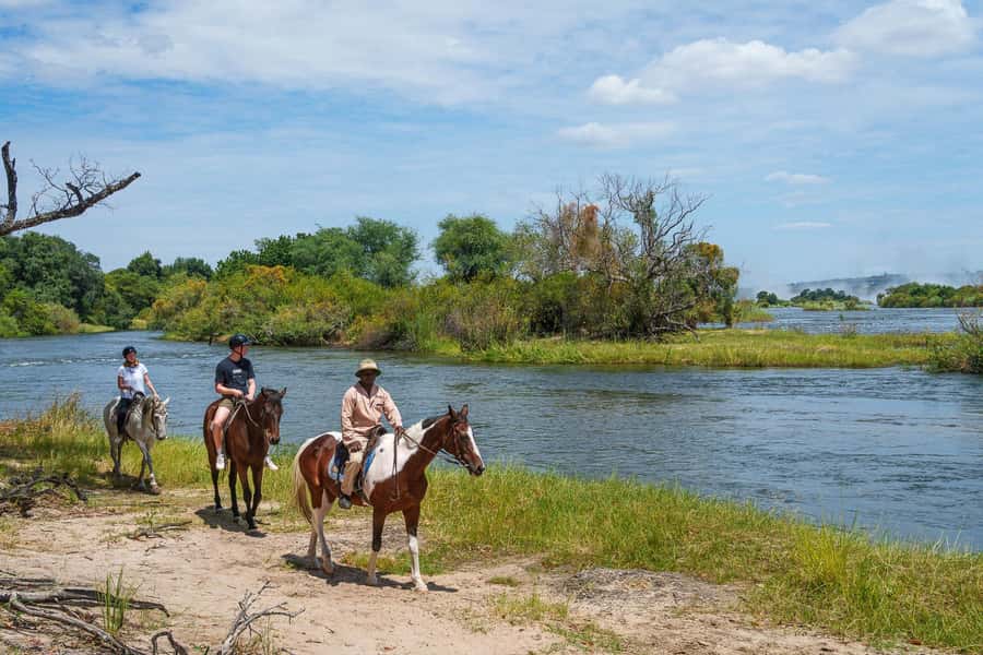Victoria Falls National Park: Horseback Safari - Who should book this Victoria Falls horse ride