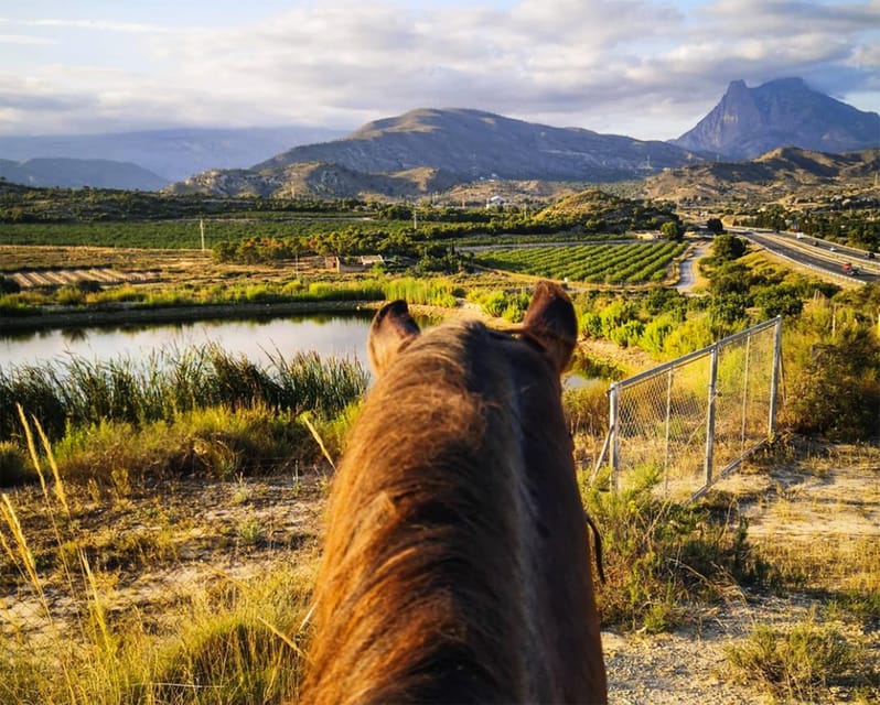 Villajoyosa:2-hour Horseback Riding Tour - Rocky hills, open views, and little shade