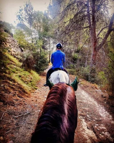 Villajoyosa: Horseback Riding in the Mountains