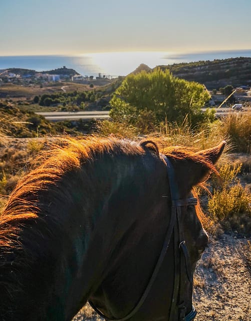 Villajoyosa Horseback Riding in the Mountains with sea views - Clothing, Weight, and Age Rules