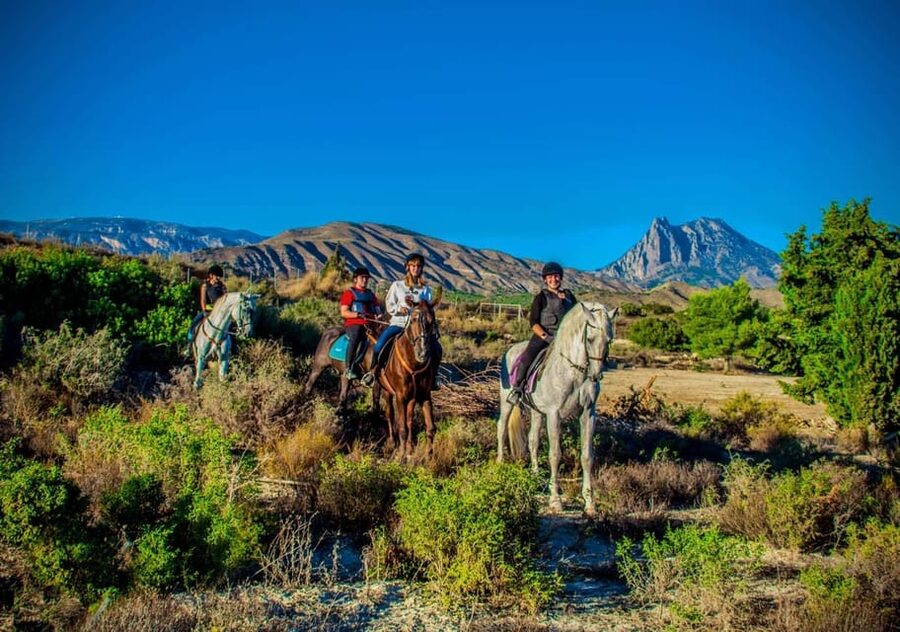 Villajoyosa Horseback Riding in the Mountains with sea views - Meeting the Horse Before You Ride