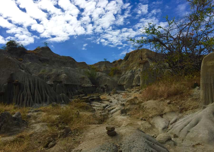 Villavieja: Tatacoa Desert Horseback Riding Tour - Key points to know before you book