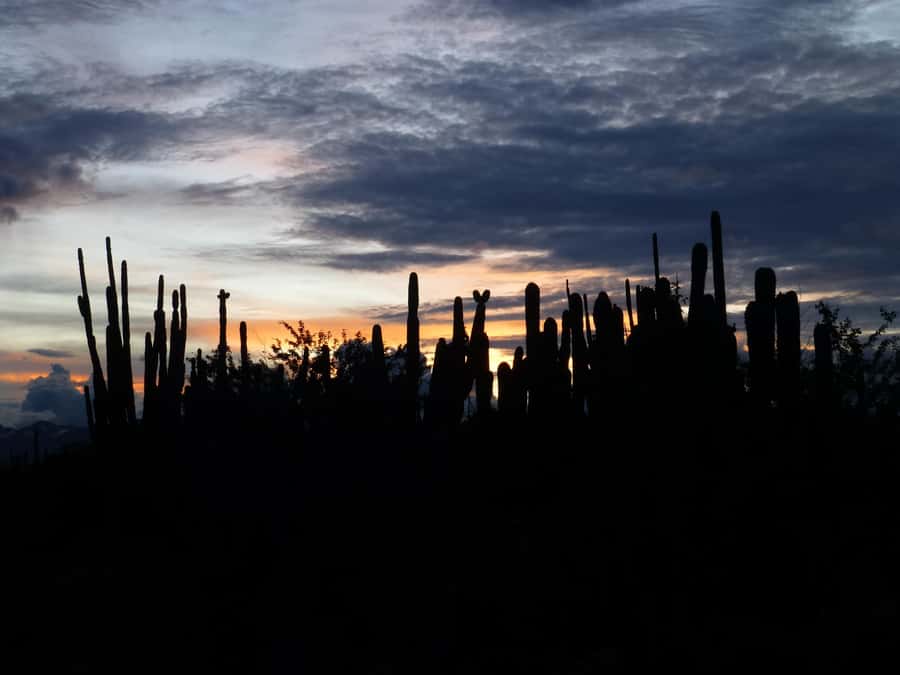 Villavieja: Tatacoa Desert Horseback Riding Tour - The Tatacoa scenery from the saddle