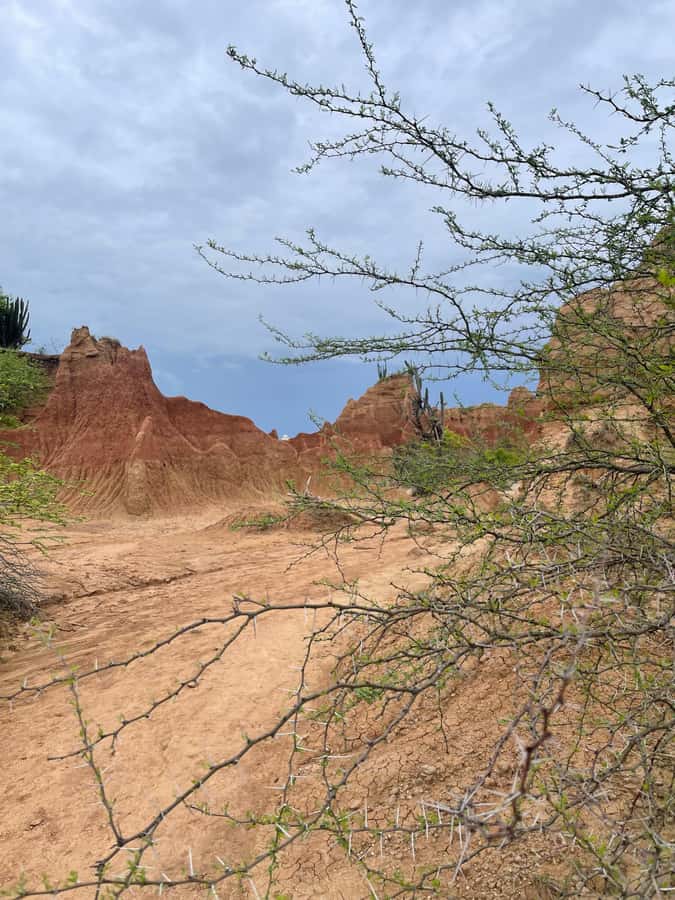 Villavieja: Tatacoa Desert Horseback Riding Tour - The fossil site and Tatacoa’s ancient past